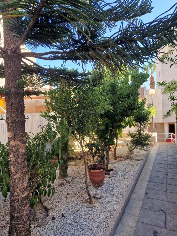 Magnifico Chalet Adosado En Torrevieja, Alicante. Eksteriør bilde